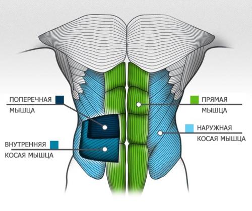 Какие упражнения женщины не должны делать на пресс