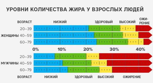 Как убрать жир и сохранить мышцы